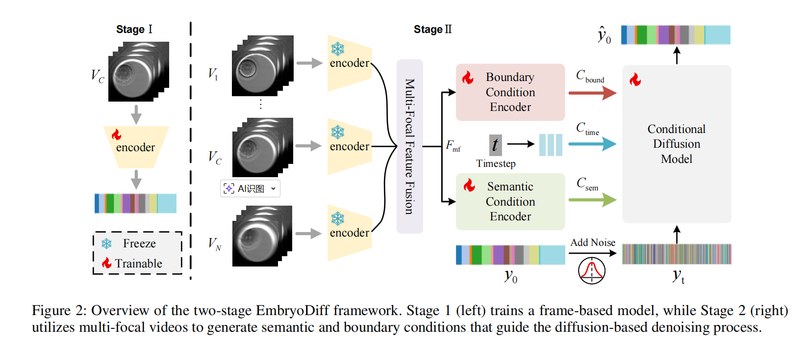 EmbryoDiff: A Conditional Diffusion Framework with Multi-Focal Feature Fusion for Fine-Grained Embryo Developmental Stage Recognition