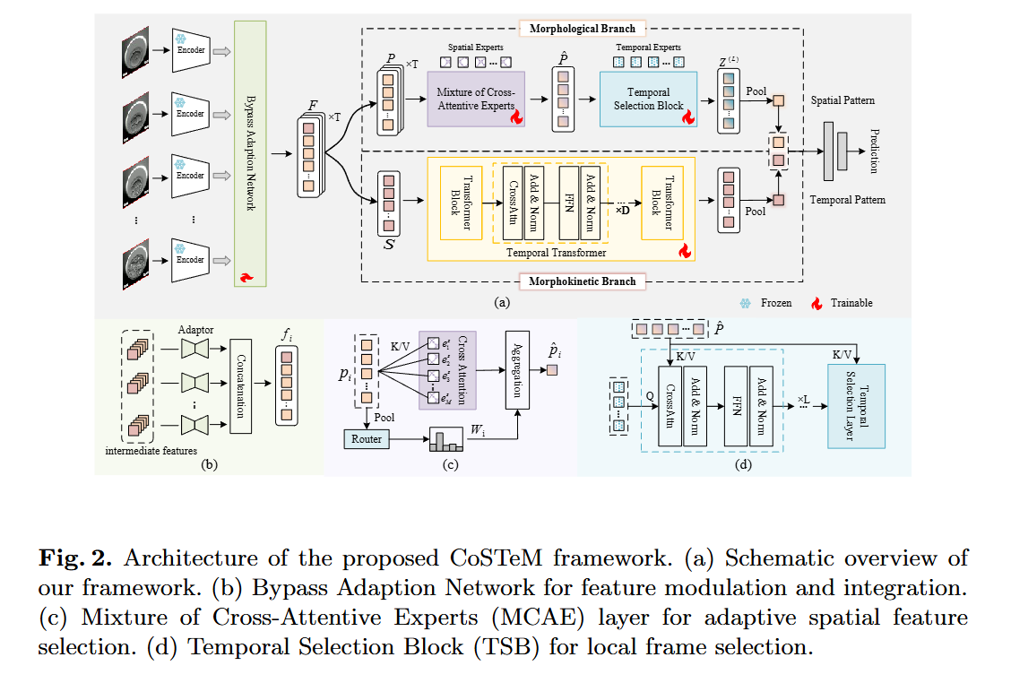 Time-Lapse Video-Based Embryo Grading via Complementary Spatial-Temporal Pattern Mining